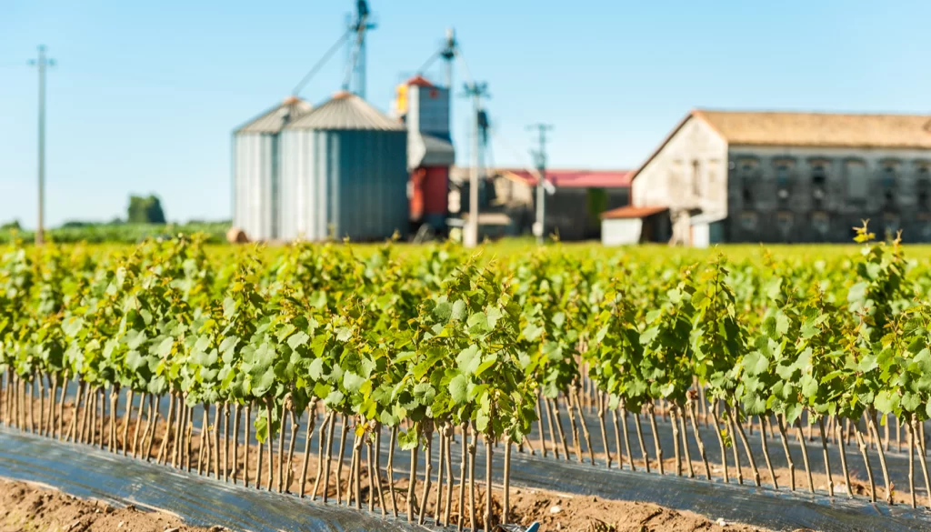 winery vineyard insurance near me 051